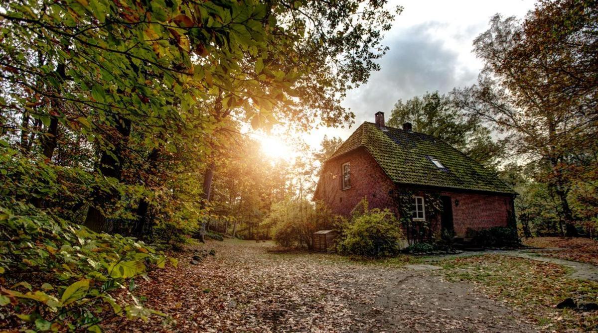 Forsthaus - Gut Thansen Soderstorf Eksteriør bilde